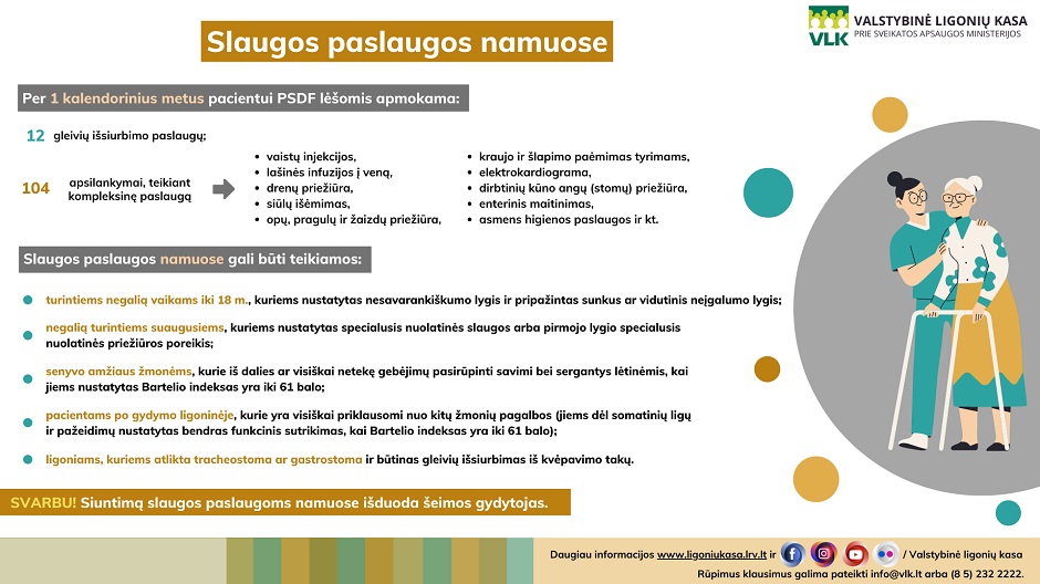 slaugos paslaugos namuose vlk infografikas